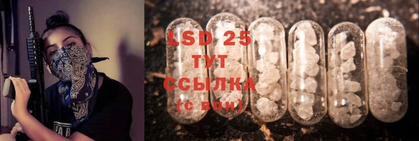 сатива Струнино
