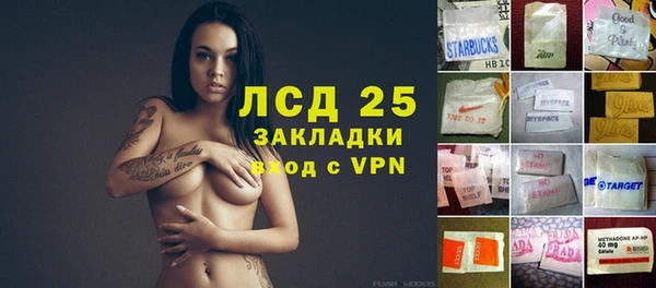 сатива Струнино