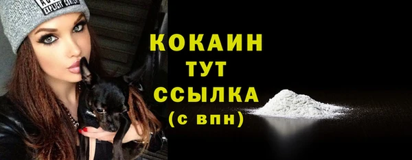 сатива Струнино