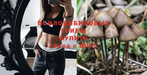 сатива Струнино
