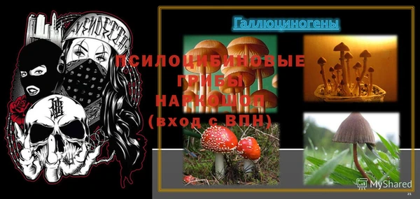 сатива Струнино