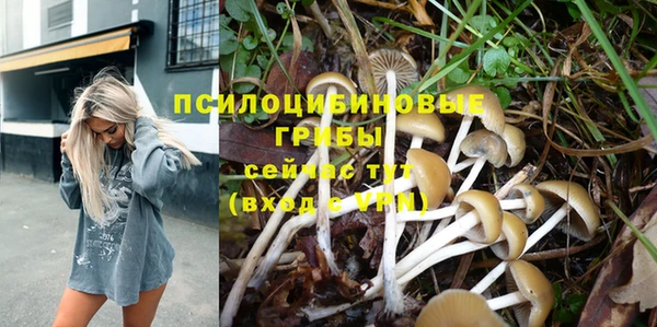 сатива Струнино